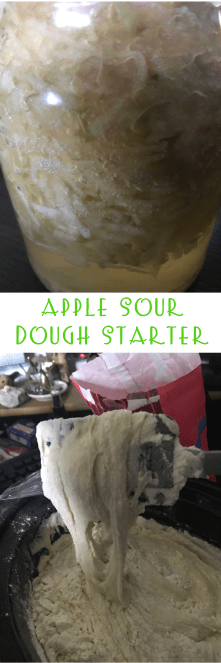 Apple Sour Dough Starter